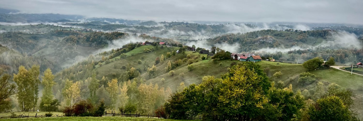 Cristian Sirbu banner