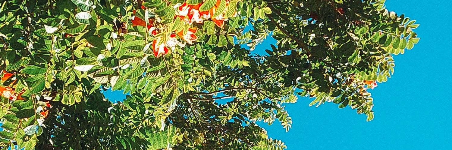 RaeFloresca's profile banner image