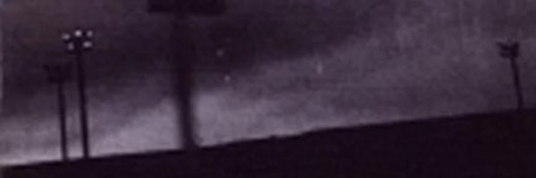 _RottenDazies Profile Banner