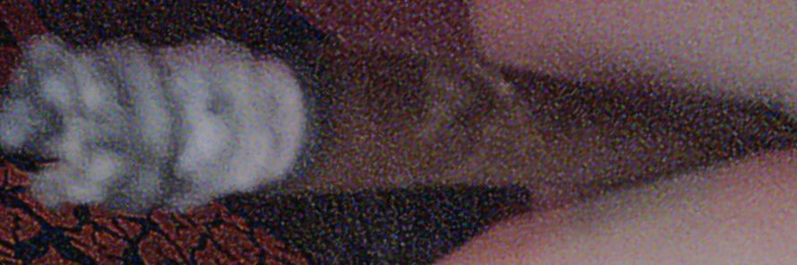 MrLoudCLoudzz's profile banner image