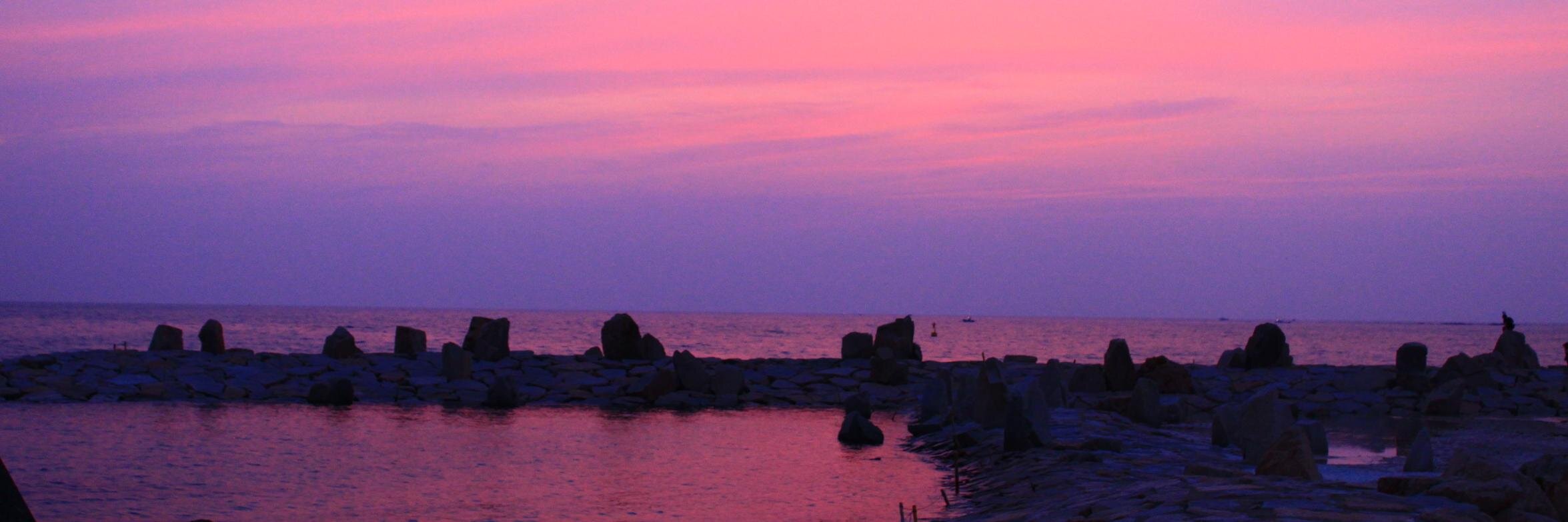 consommehacci's profile banner image