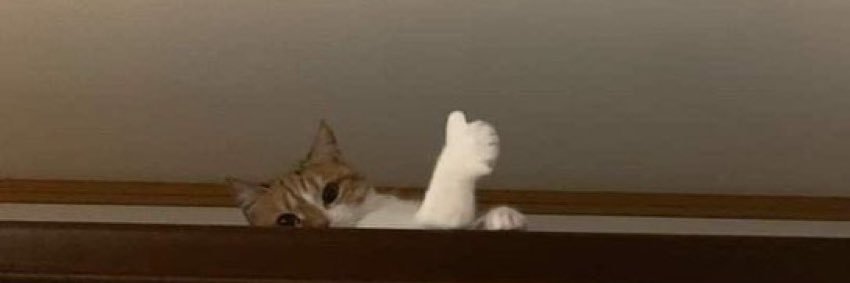 ファン･大工 banner