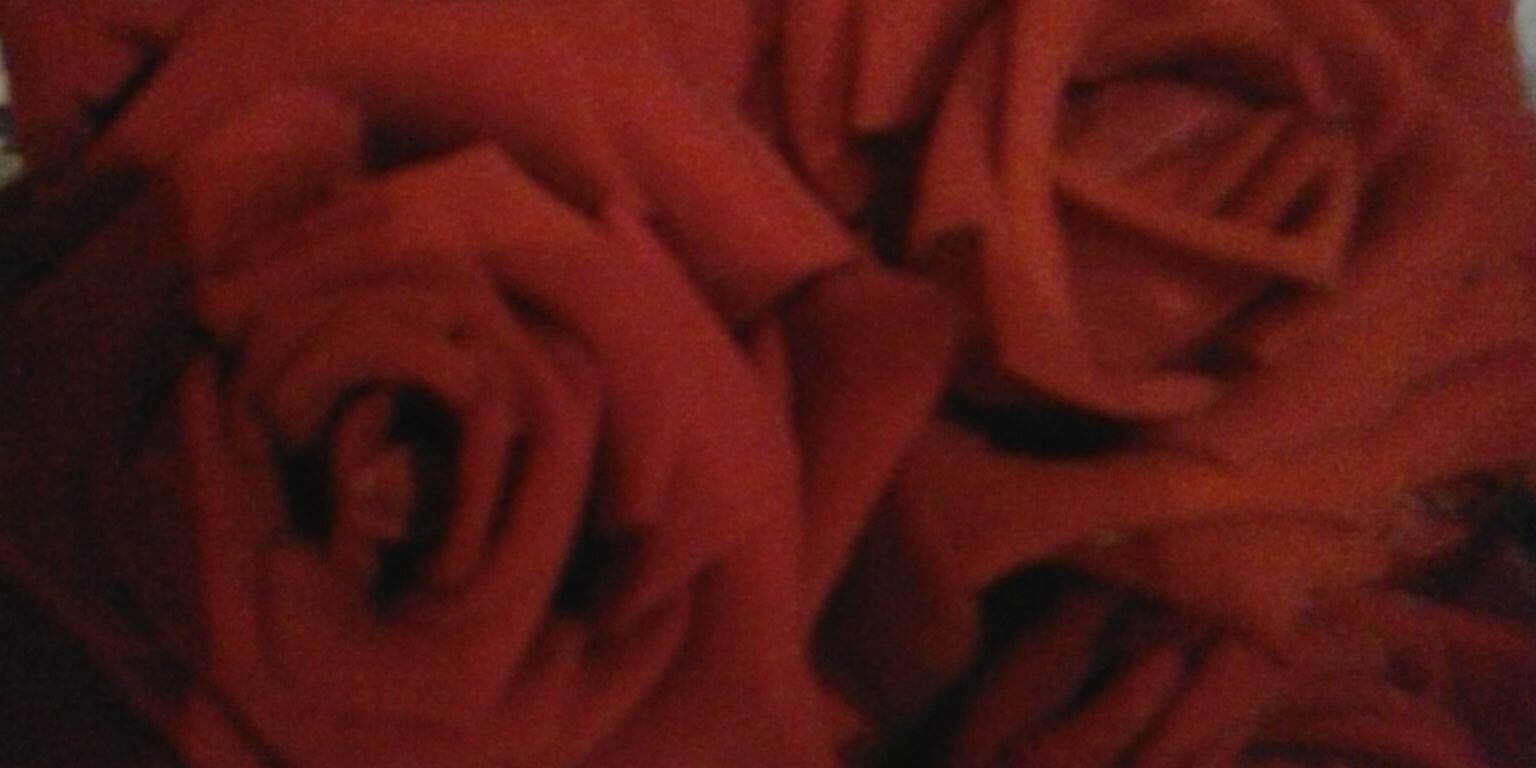 marinfantes's profile banner image