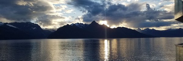 ArtySkox Profile Banner