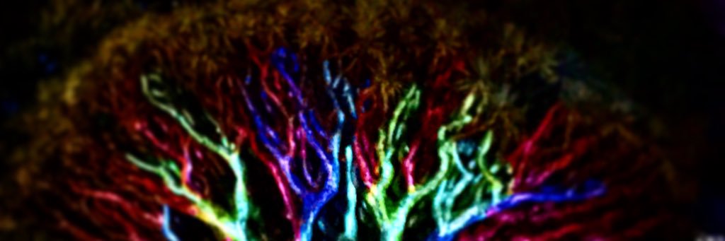 frankiejac's profile banner image