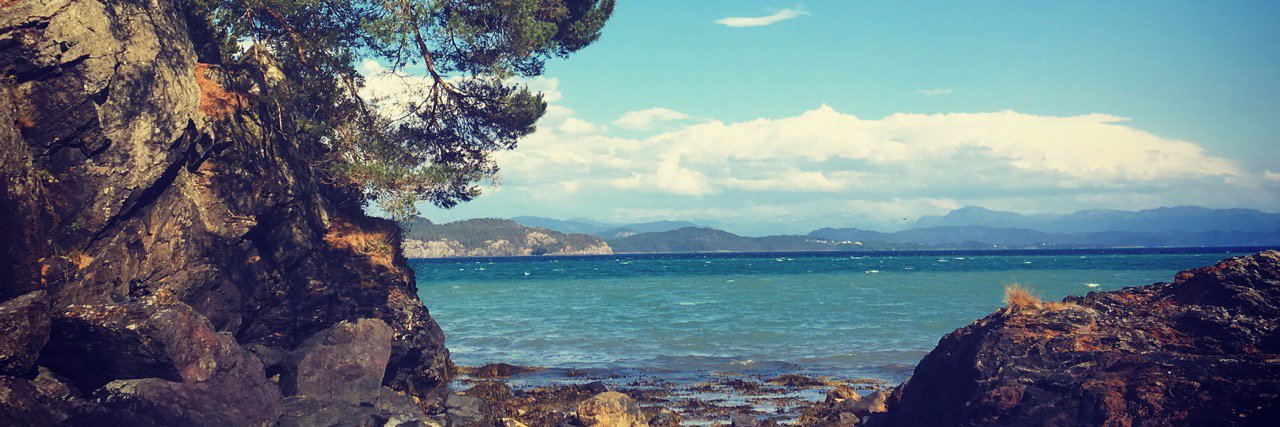 Michel Mesquita, Ph.D. banner