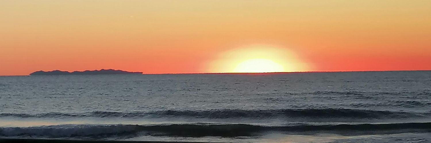 Carla Favilli🇪🇺🇺🇦👠#TerzoPolo banner