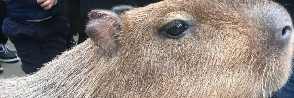 🤞🏻kekek banner