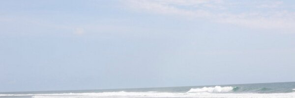 junedtan Profile Banner