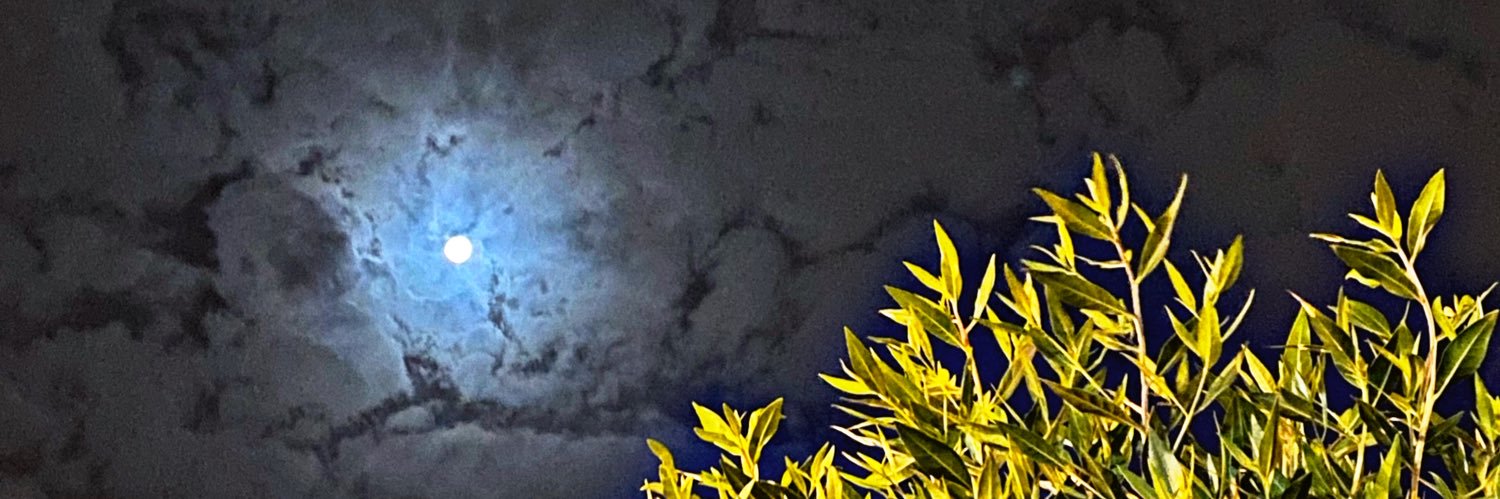 __B0D's profile banner image