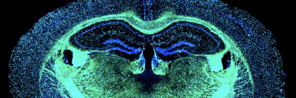 Zuloaga_Lab Profile Banner