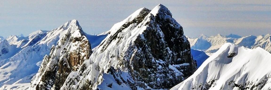 LIBERO ARBITRIO banner