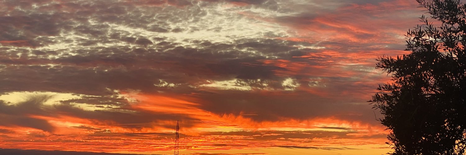 Stefania Effe banner