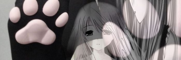 sinkobickoin's profile banner image