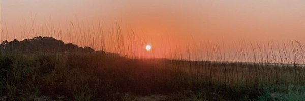 ellieflower11 Profile Banner