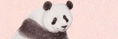 zzss0612's profile banner image