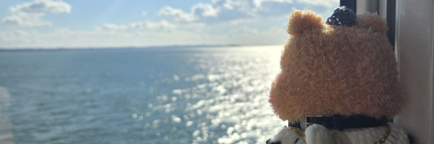 ricomother's profile banner image