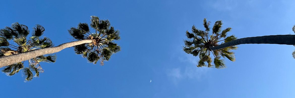 blcbear's profile banner image