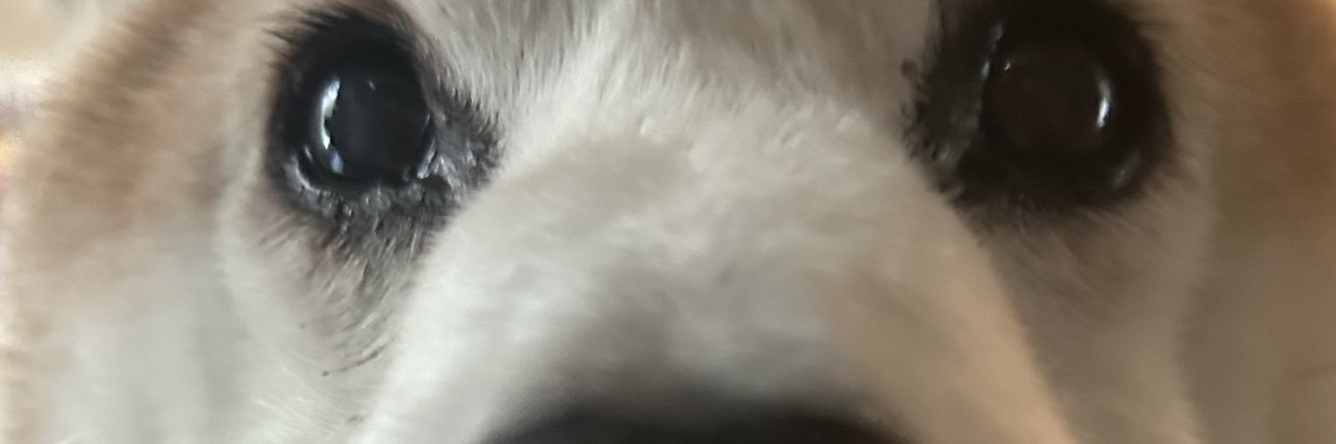 _Shamble_'s profile banner image