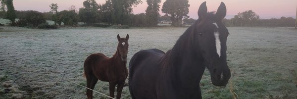 AngelaH37119622 Profile Banner