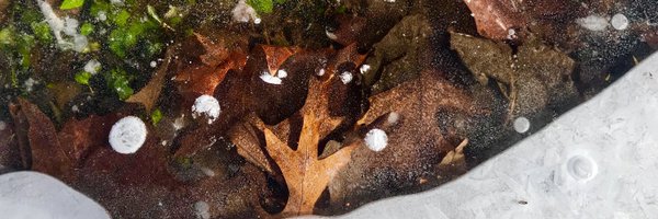 highlowstl Profile Banner