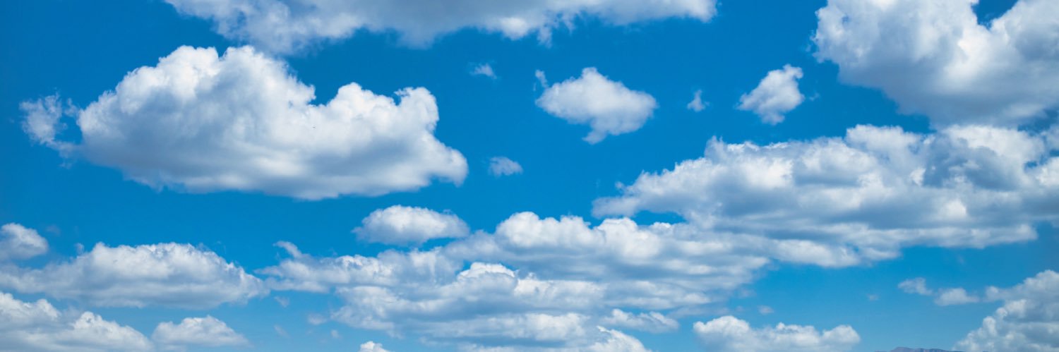 ozge banner