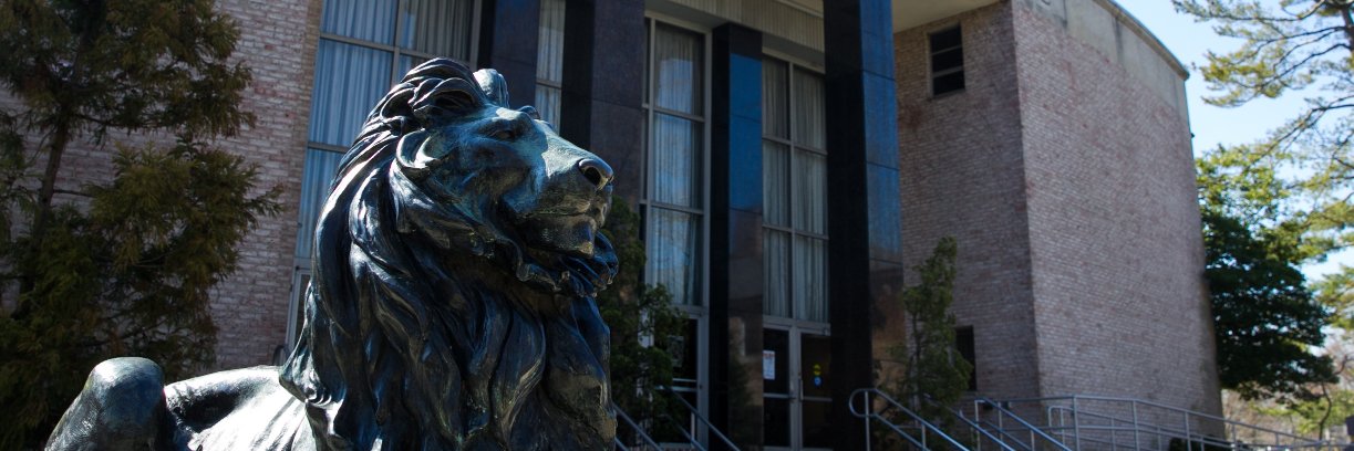 INTO Hofstra University banner