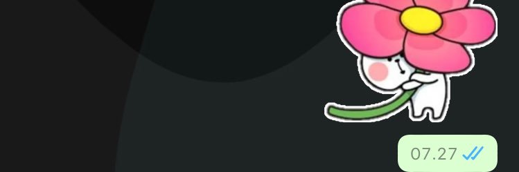 anitaksp's profile banner image