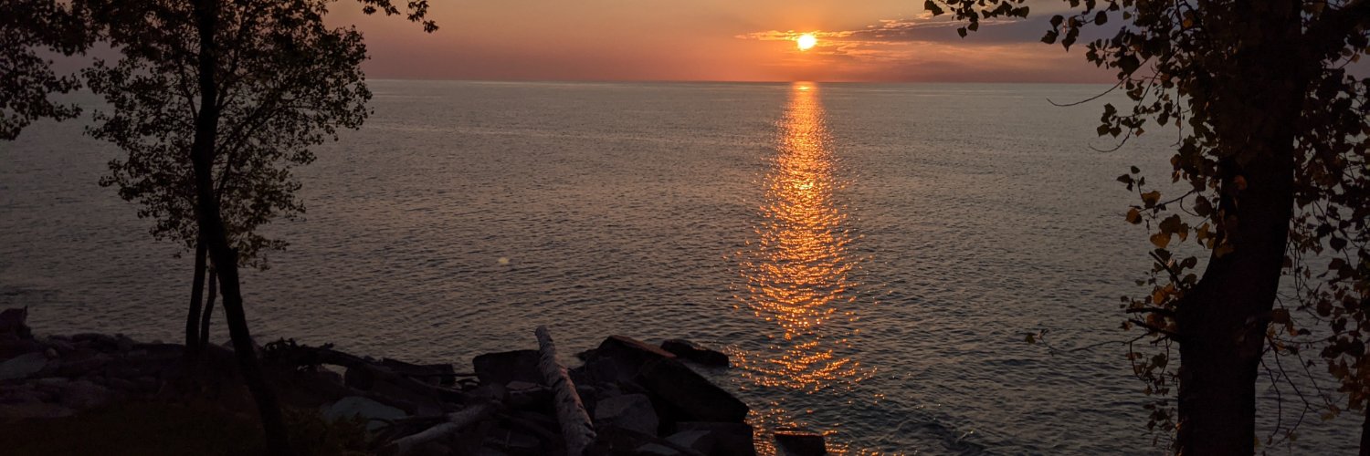 Marketing Services Network banner