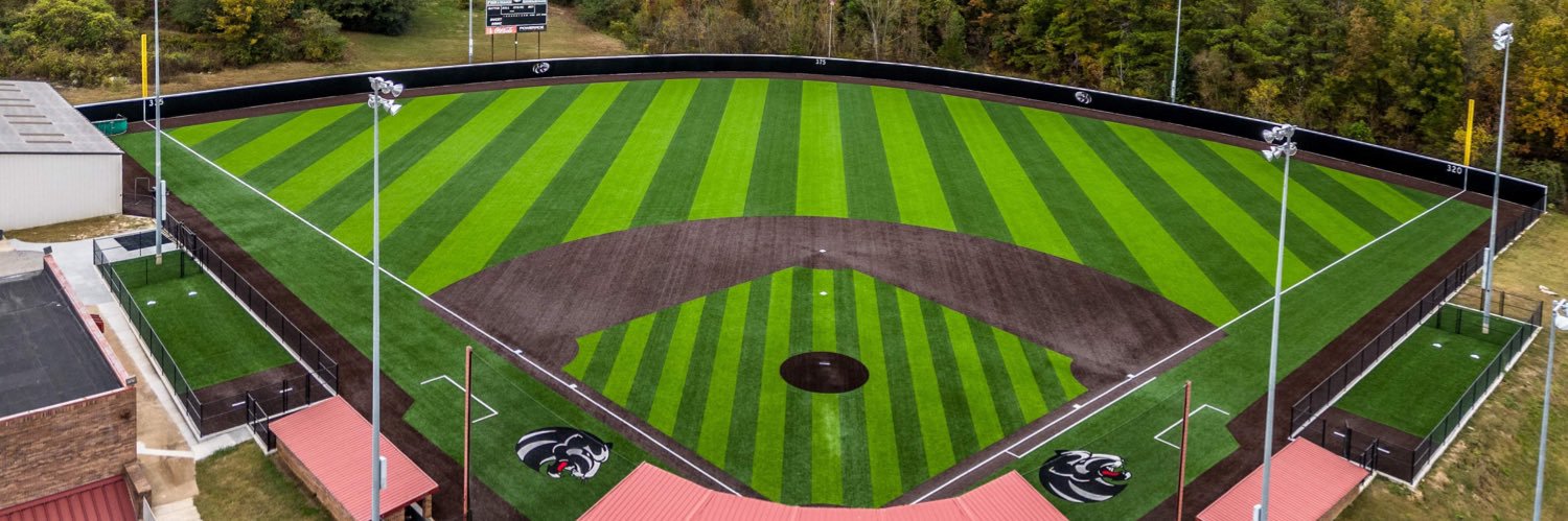 Ridgeland Panthers Baseball banner
