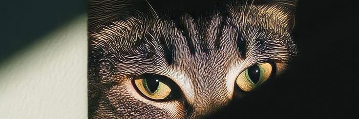 helmiramadhans's profile banner image