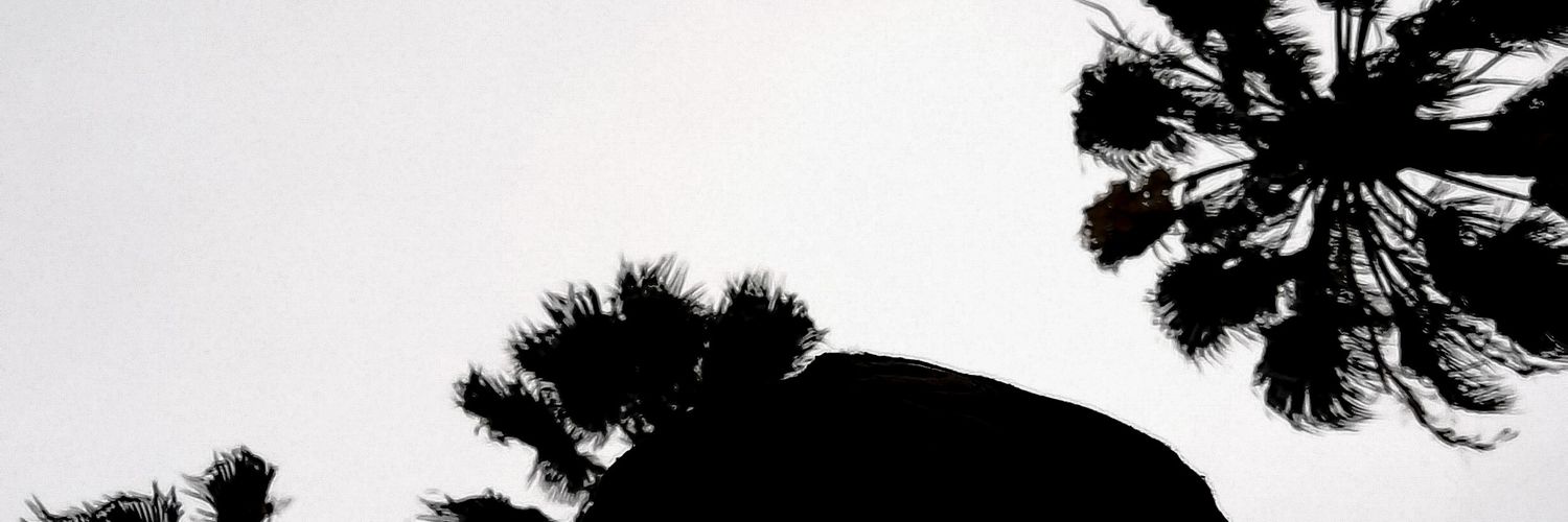 ainchis26's profile banner image
