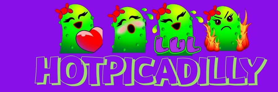 Hotpicadilly banner