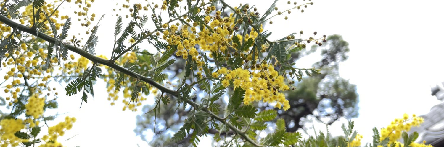 アタリアヤ🦊📚🌹 banner