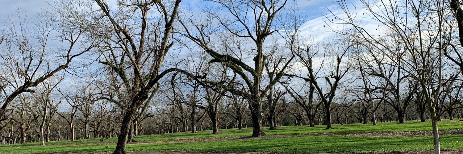 Alan Gambril, MD banner