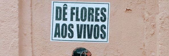 Carvalho 🤎 banner