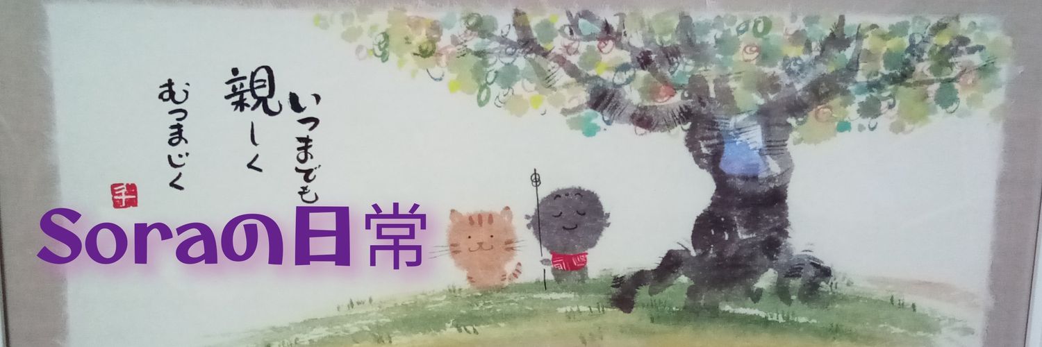 𓃠 ᯽𝒮 ℴ𝓇𝒶 ᯽𓃠 ☯︎᯽🇯🇵奏羅（そら） banner