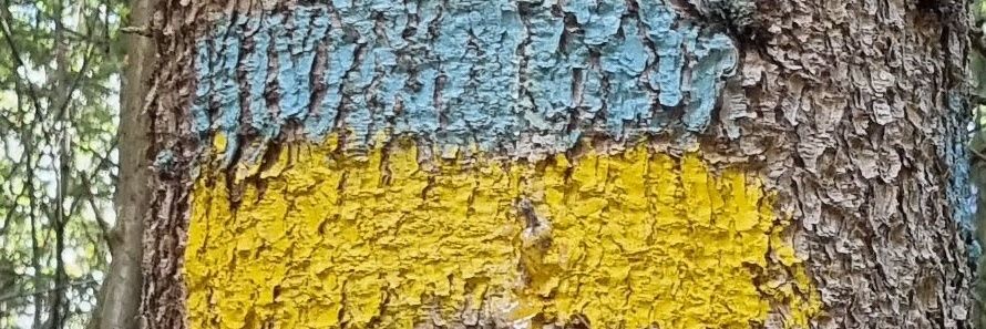 Markrihel's profile banner image