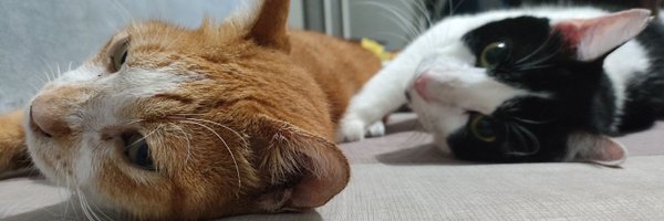 ocinrafdy Profile Banner