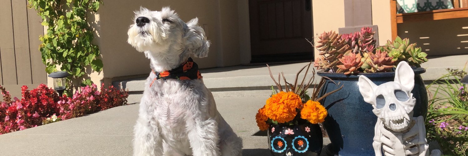 Davin L. Phoenix banner