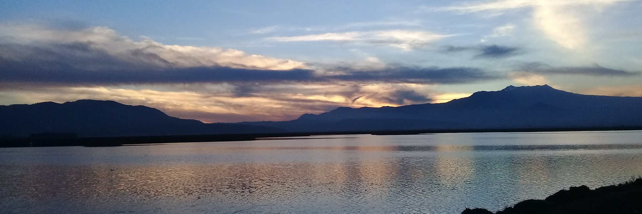 TheAlli_Mulshine90 banner