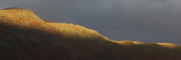 bobservablelife Profile Banner