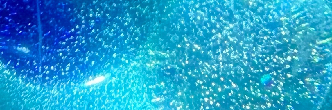 ﾌｧｯｷﾝ皇帝陛下 banner