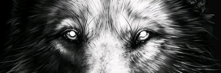 diyoooy's profile banner image