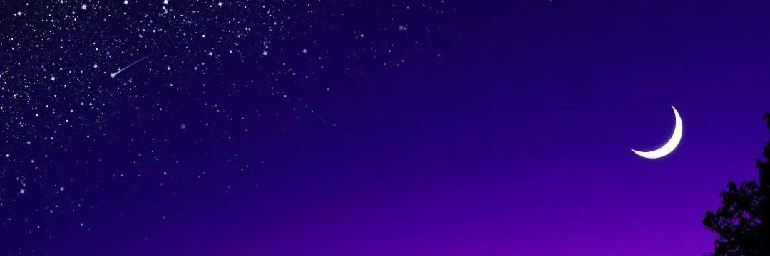 FPP_98's profile banner image