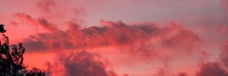 marins; banner