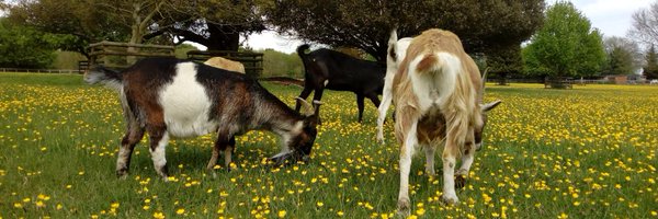 marianne_m3 Profile Banner