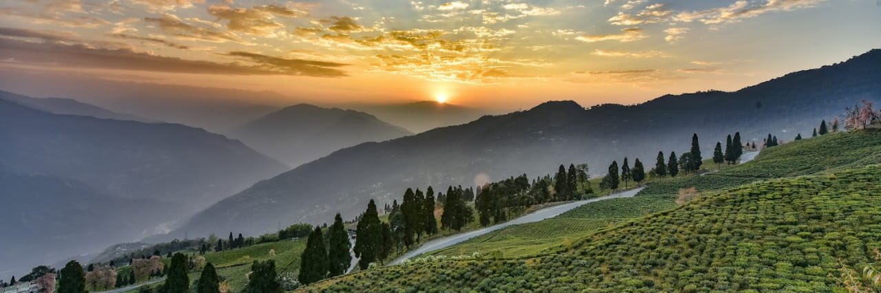 Joydeep Phukan banner