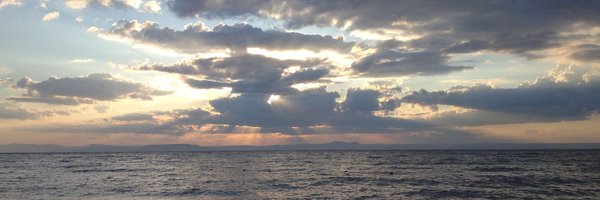 lucyhasnowings Profile Banner