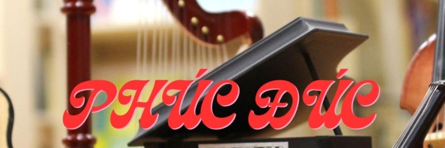 Phucduc2403's profile banner image